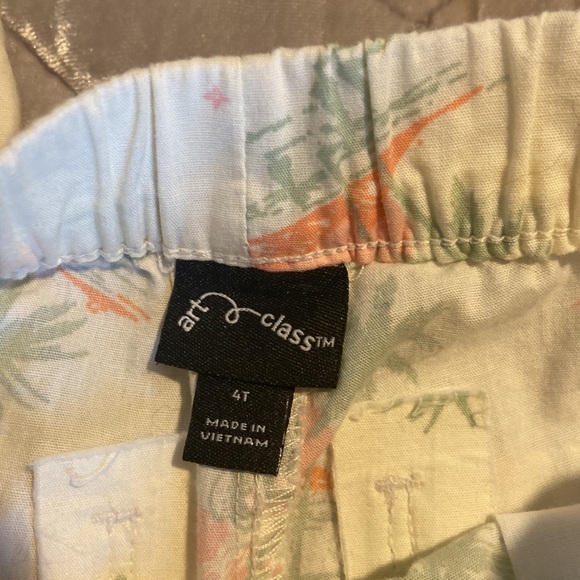 TARGET TODDLER BOY ART CLASS CACTUS SET 3/4 T - Picture 4 of 6